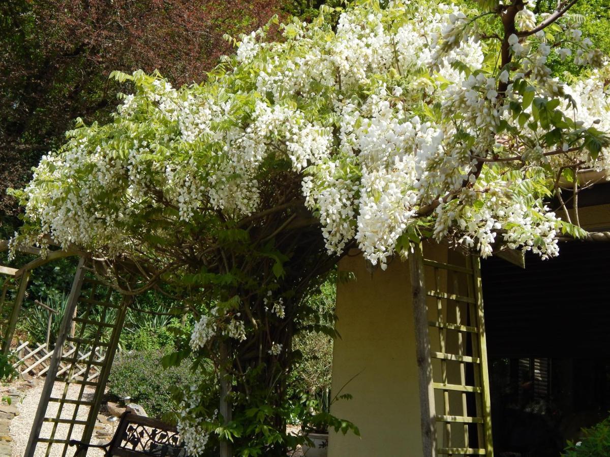 The Petite Chalet Chambre D'Hotes L'Isle-Jourdain  Buitenkant foto
