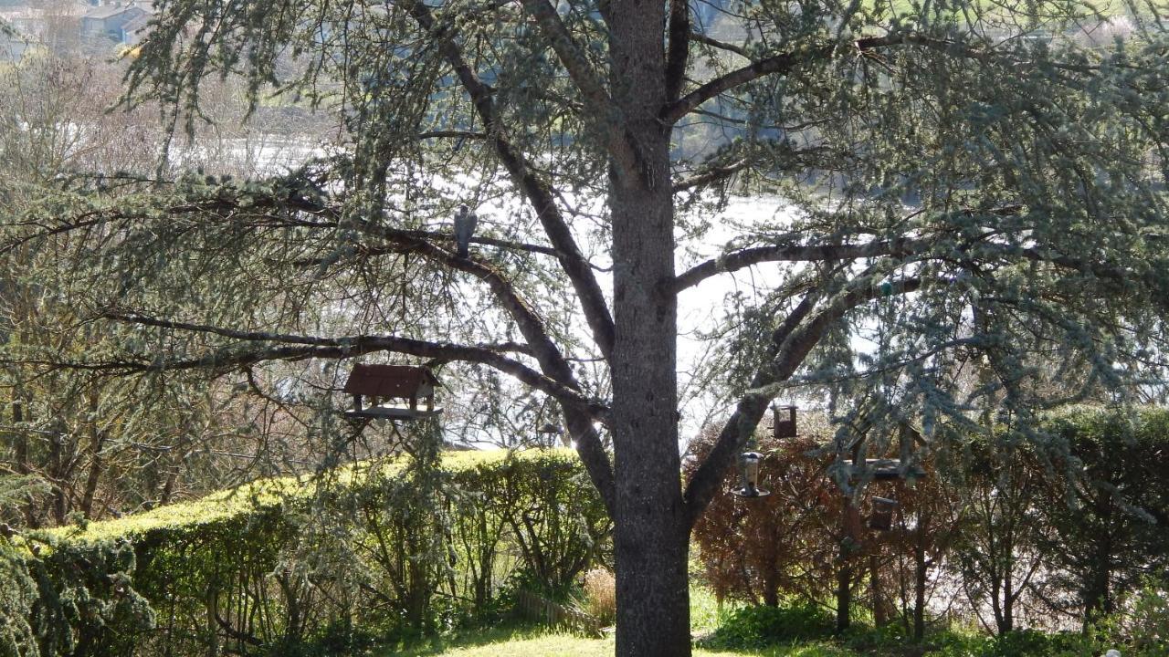 The Petite Chalet Chambre D'Hotes L'Isle-Jourdain  Buitenkant foto