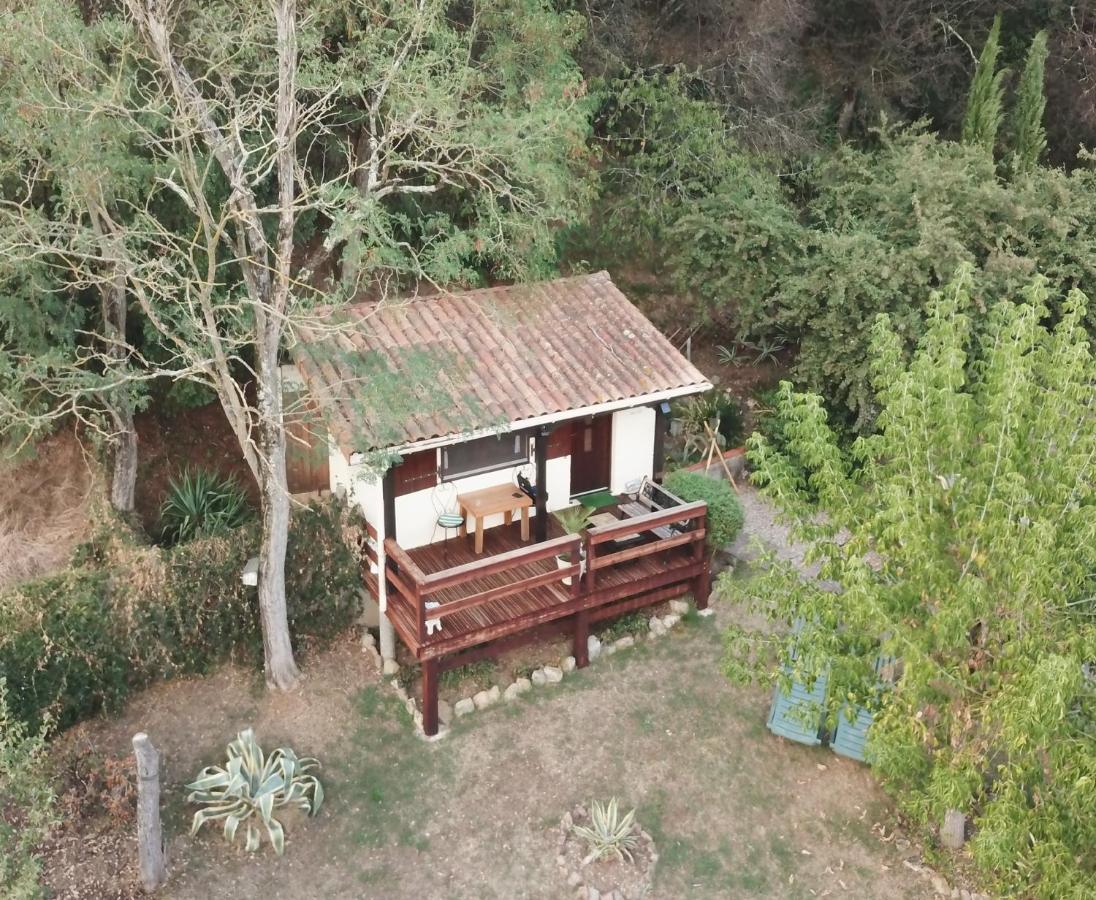 The Petite Chalet Chambre D'Hotes L'Isle-Jourdain  Buitenkant foto